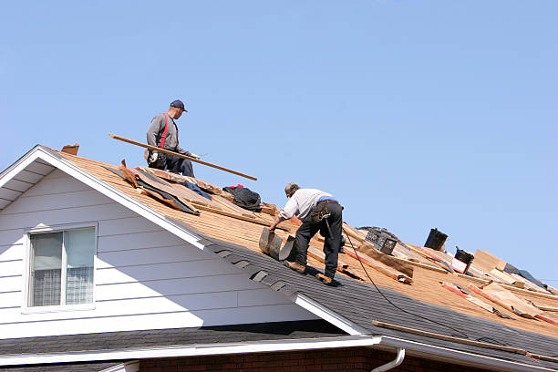 Best Steel Roofing  in Beach Haven, NJ